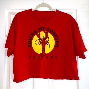 Friends Cropped Tshirt